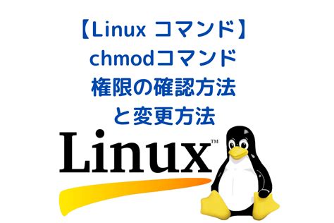 Linuxの権限確認と変更(chmod)（超初心者向け） .